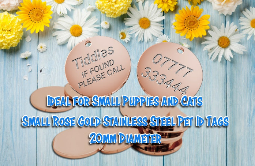 Cat collar name tags stainless steel Rose Gold