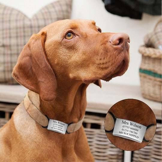 Stainless Steel Flexi-tag the ultimate Dog identification tag.