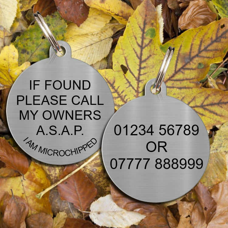 Stainless Brushed Steel Dog id Tag with Black Text